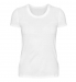 Women Basic T-shirt